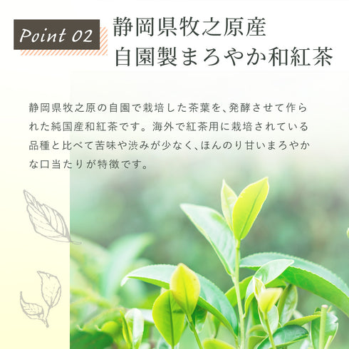 洋甘菊 x 日本紅茶茶包 2.5g x 35p